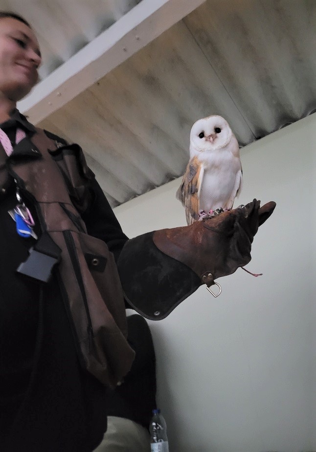 Eagle Heights Wildlife Foundation owl experience