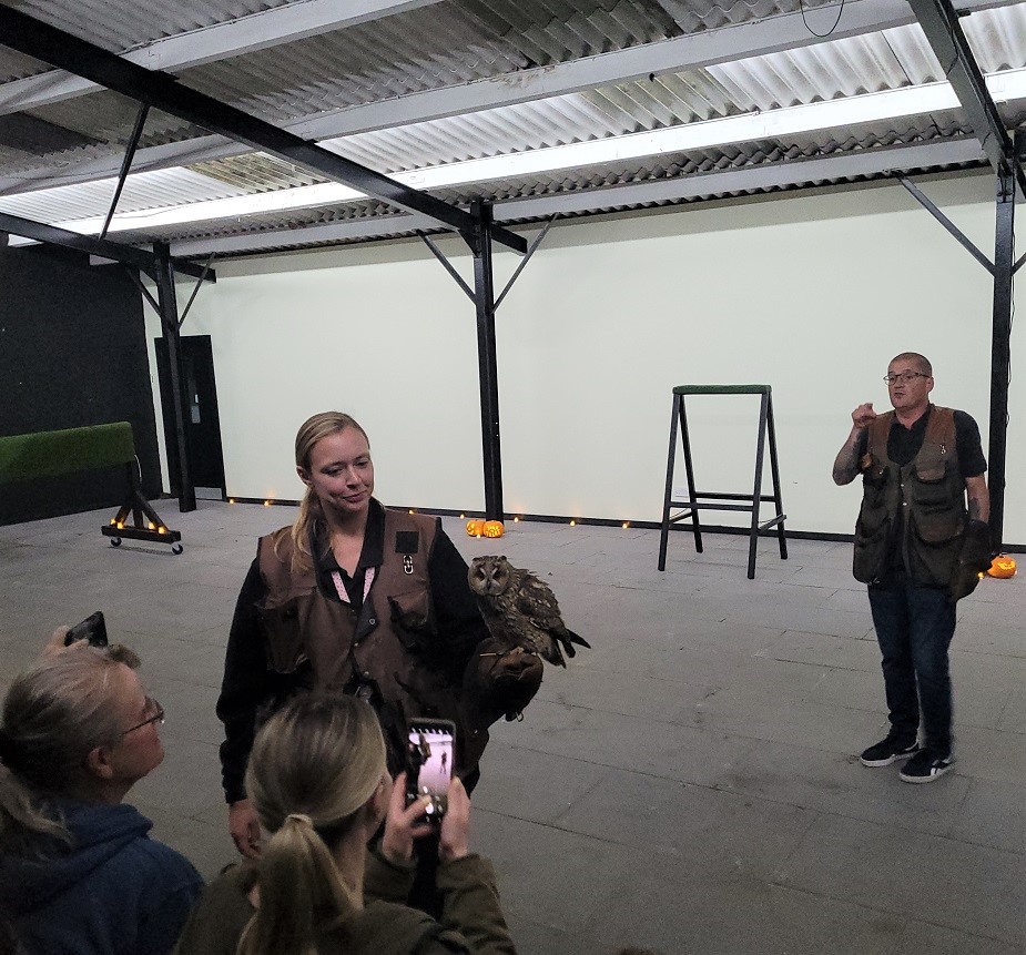 Eagle Heights Wildlife Foundation owl experience