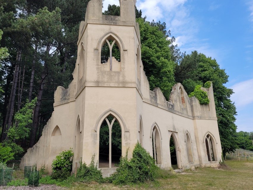 Ruined Abbey Painshill
