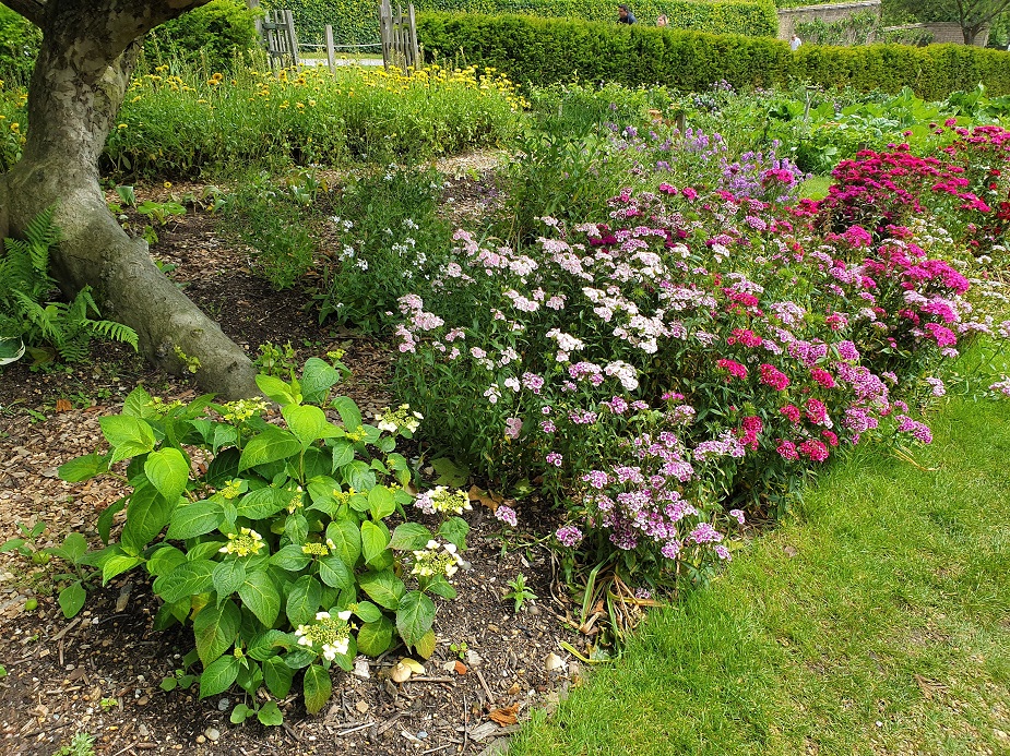 National Trust - Standen House And Garden