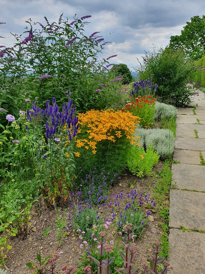 Chartwell flowers