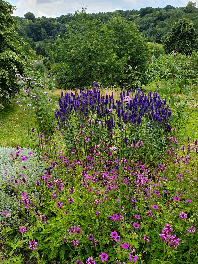 Flowers at Chartwell