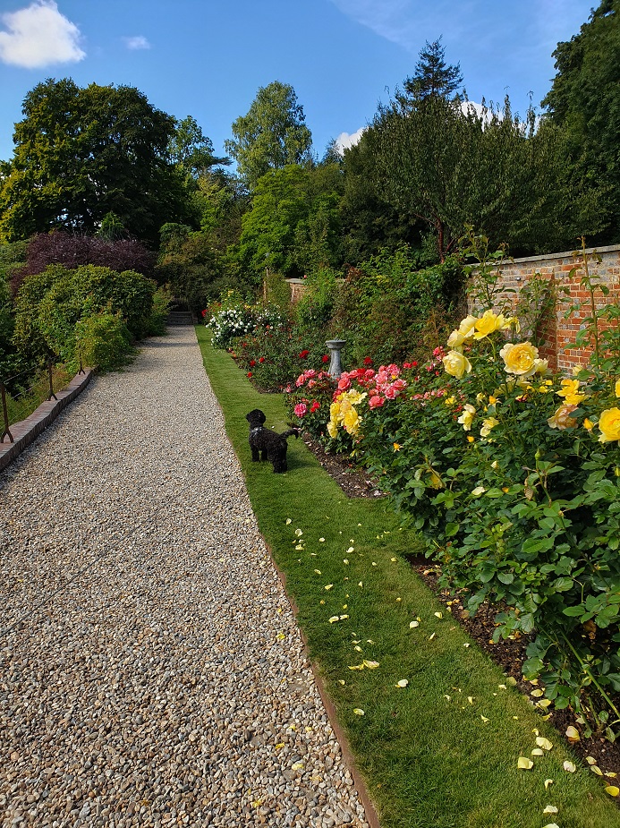 Riverhill Himalayan Gardens