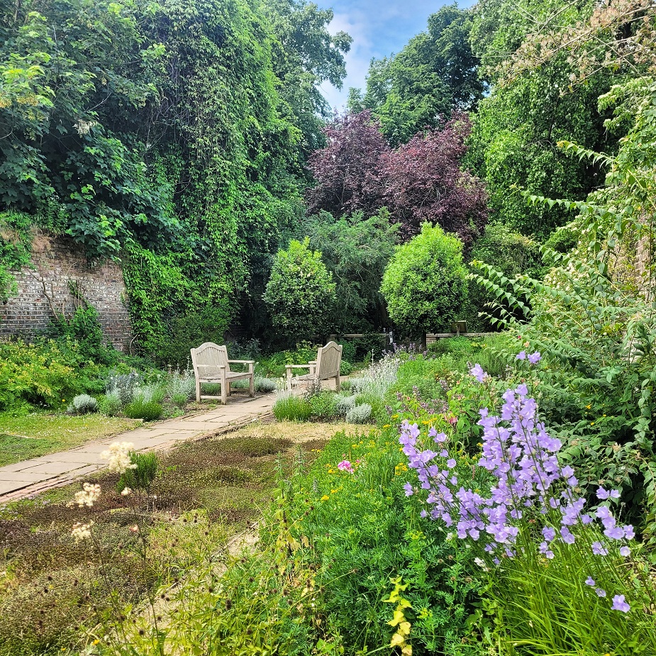 Herb garden Cannizaro Park