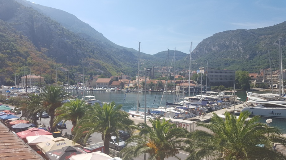 Kotor marina