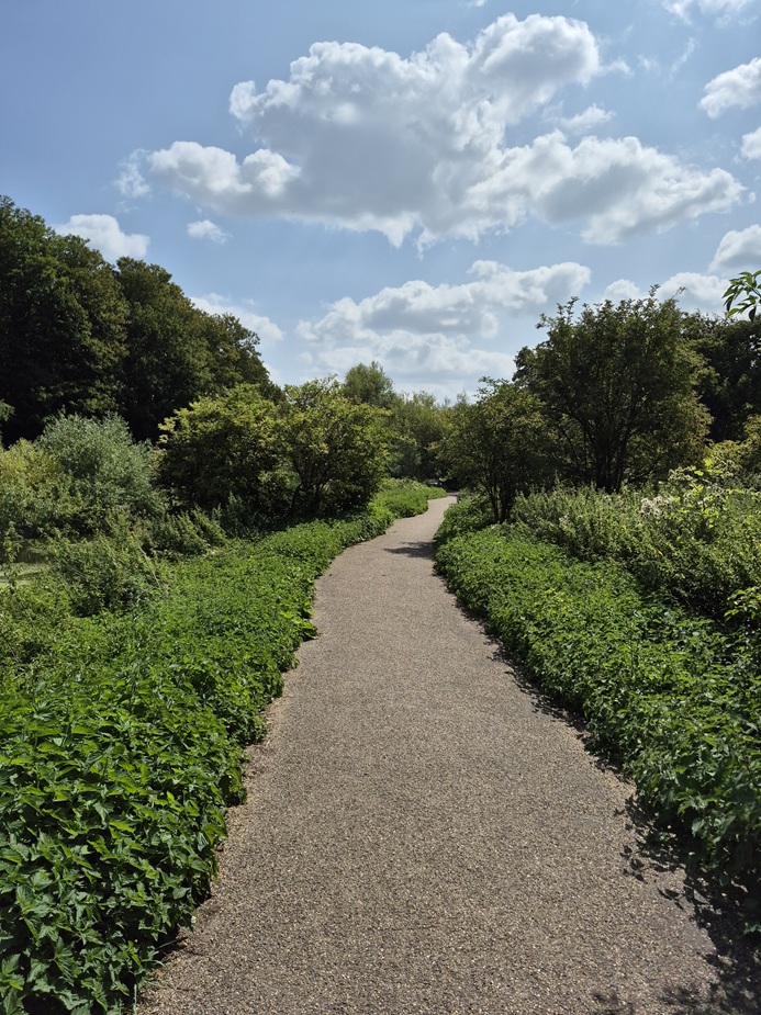 Wandle Trail path